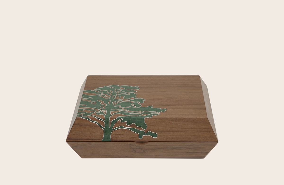 Cedar Humidor Box